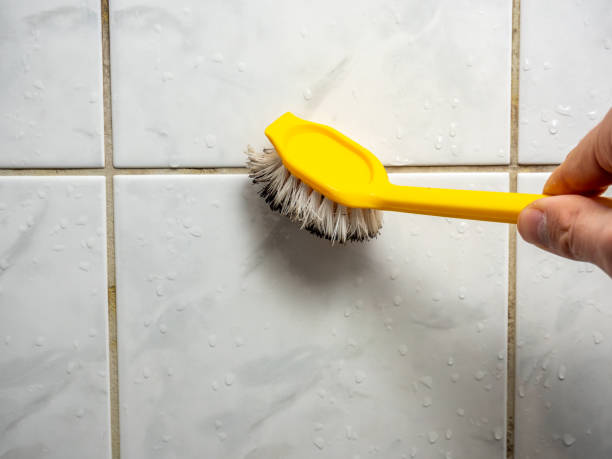 Best Mold Testing and Removal  in Lake City, SC